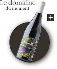 Domaine Breton vin bio de la loire