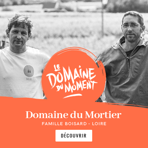 Domaine-du-mortier-Loire-LB-slider-m